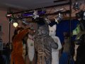 Cesfur09052.jpg
